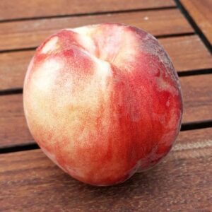 pepiniere-biologique-arbre-peche-benedicte-fruit