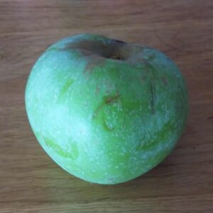 pepiniere-biologique-arbre-Pomme-Barbe-fruit