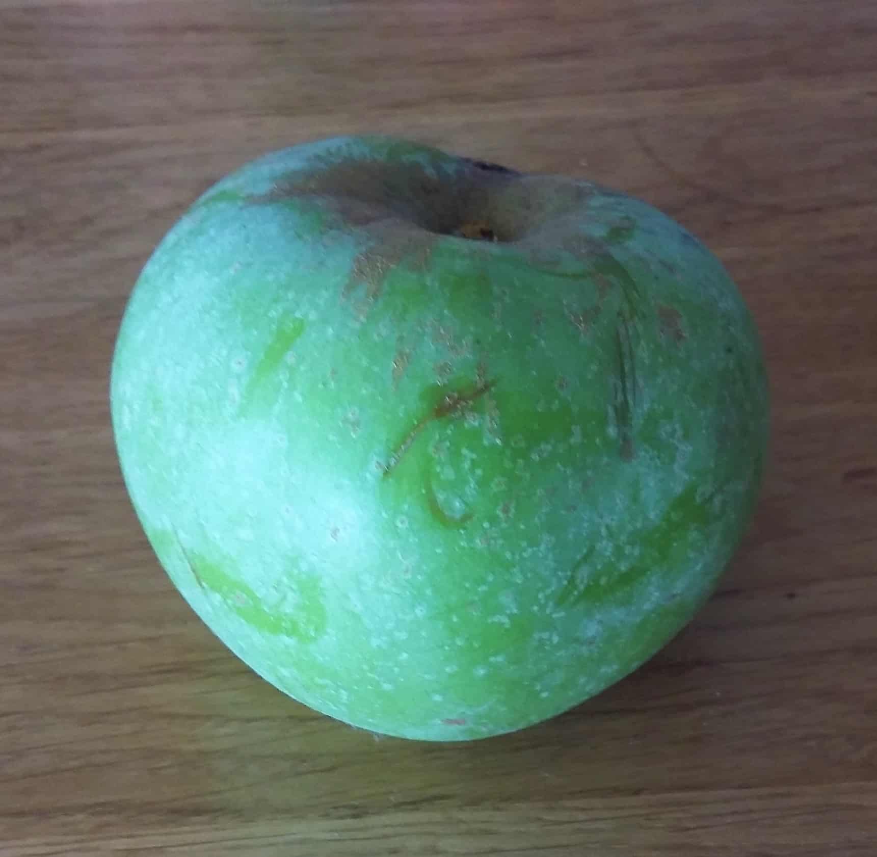 pepiniere-biologique-arbre-Pomme-Barbe-fruit pepiniere-biologique-arbre-Pomme-Barbe-fruit