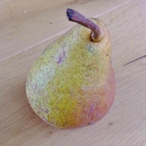 pepiniere-biologique-arbre-poire-harrow-sweet-fruit