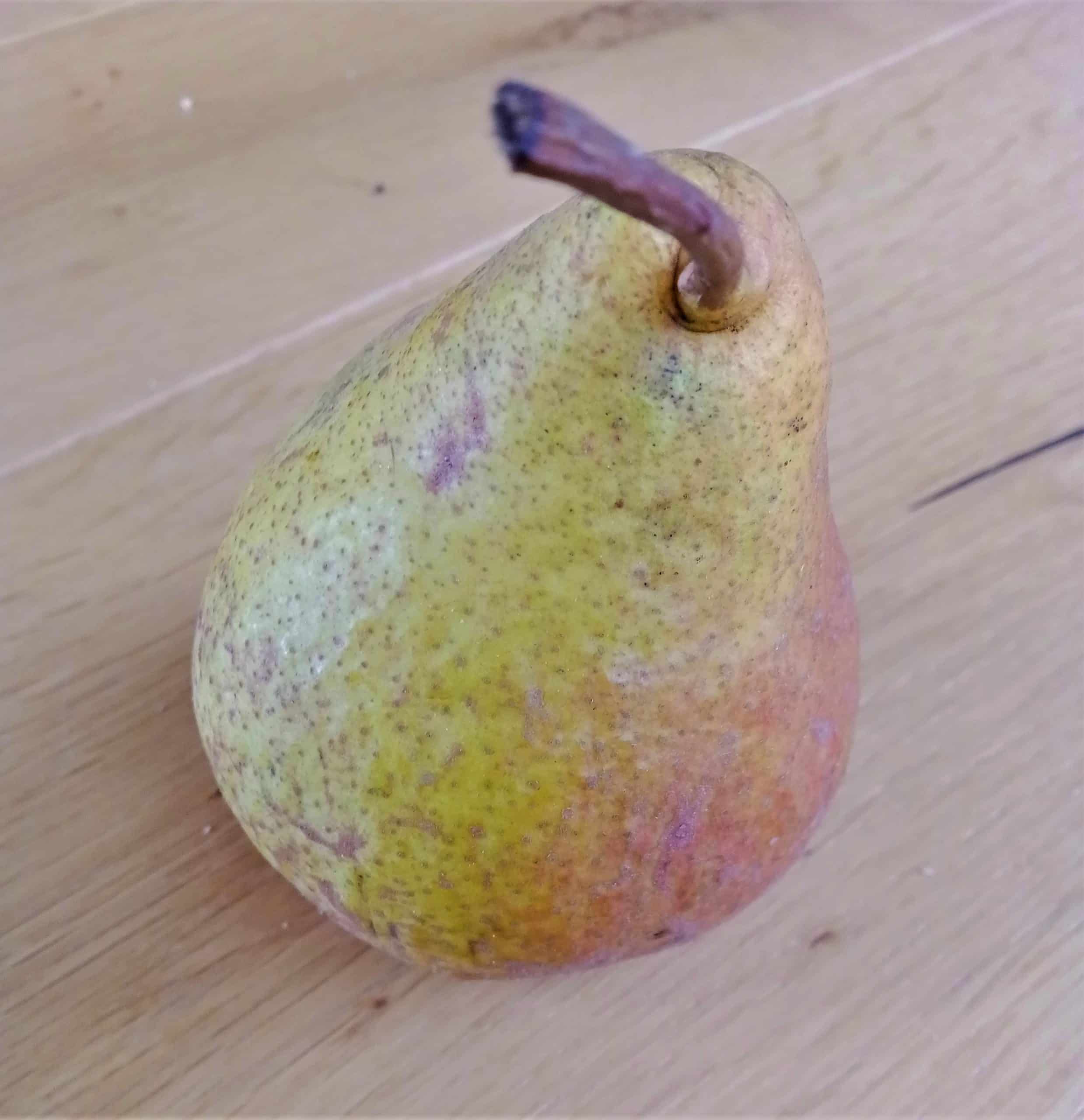 pepiniere-biologique-arbre-poire-harrow-sweet-fruit pepiniere-biologique-arbre-poire-harrow-sweet-fruit